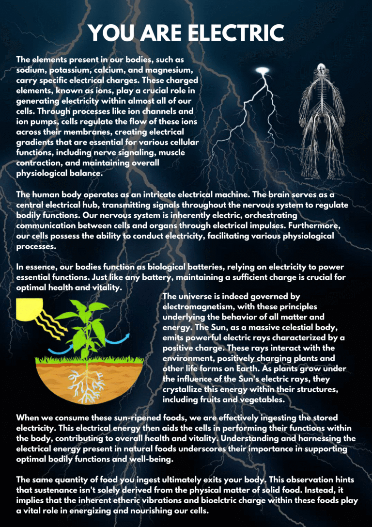 Bonus-2-Human-Health-Guide-11-1.png